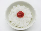 rice-and-umeboshi